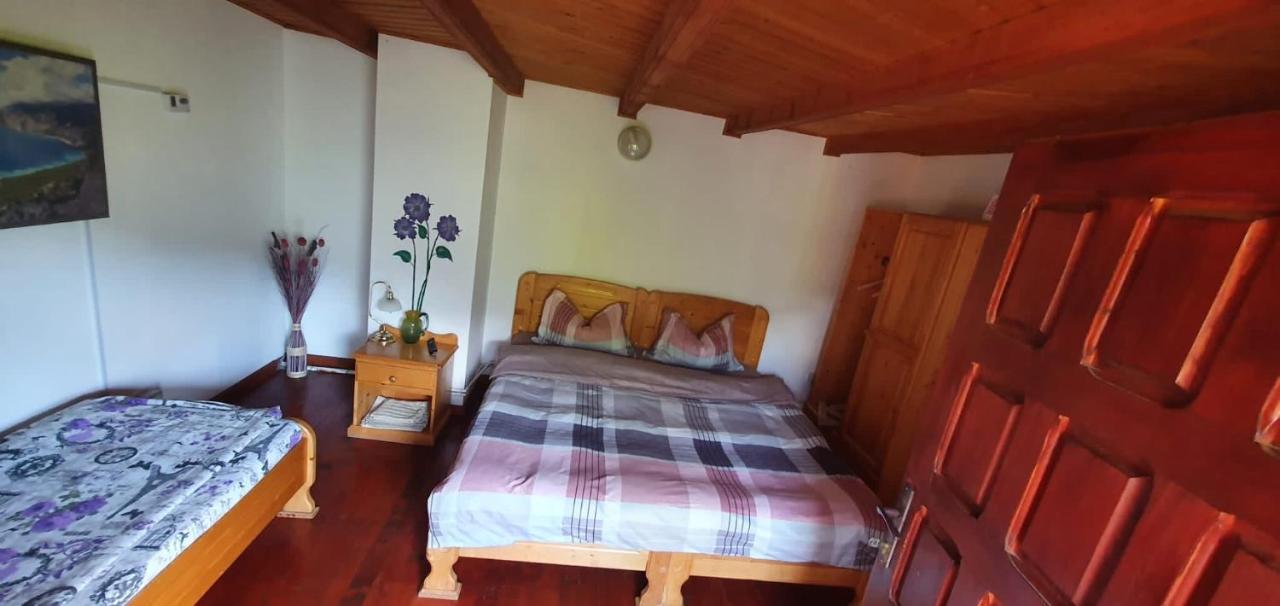 הוילה ברזוי Casa Colt De Rai מראה חיצוני תמונה