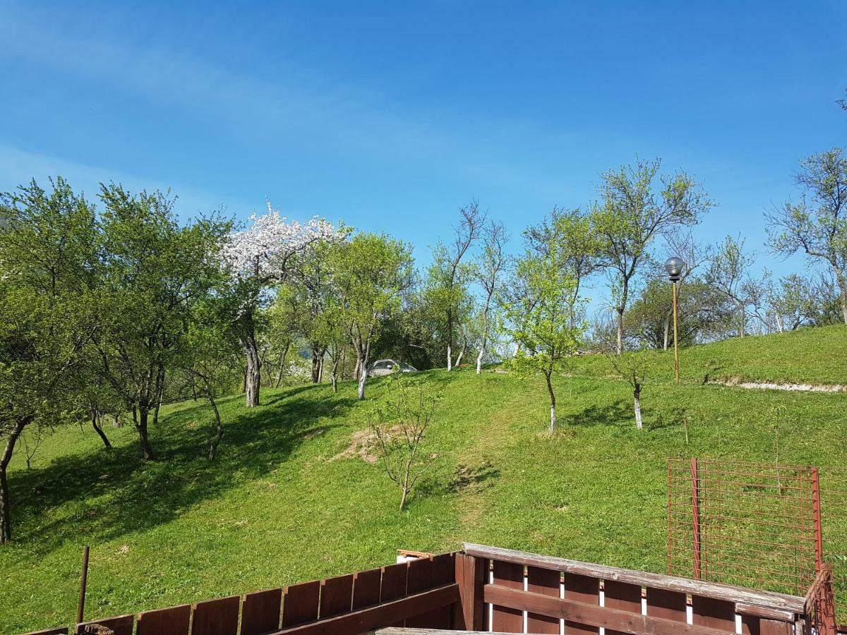 הוילה ברזוי Casa Colt De Rai מראה חיצוני תמונה